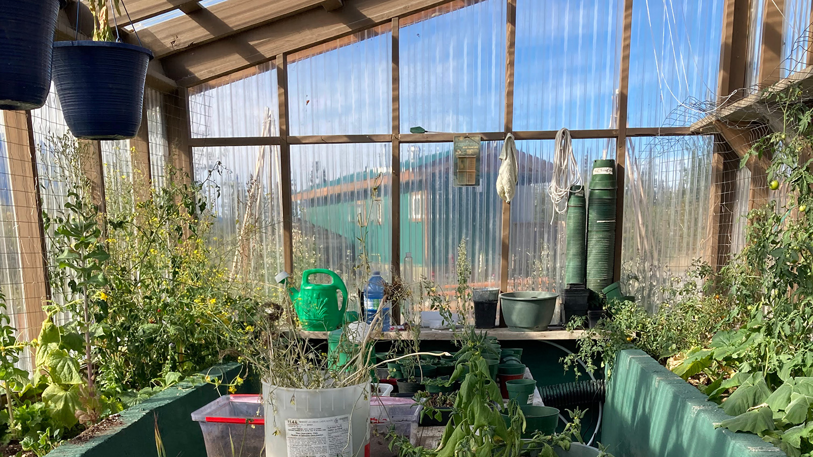 Inside the KLRS greenhouse
