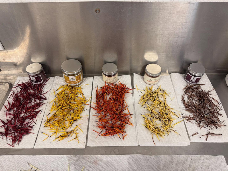 piles of dyed porcupine quills
